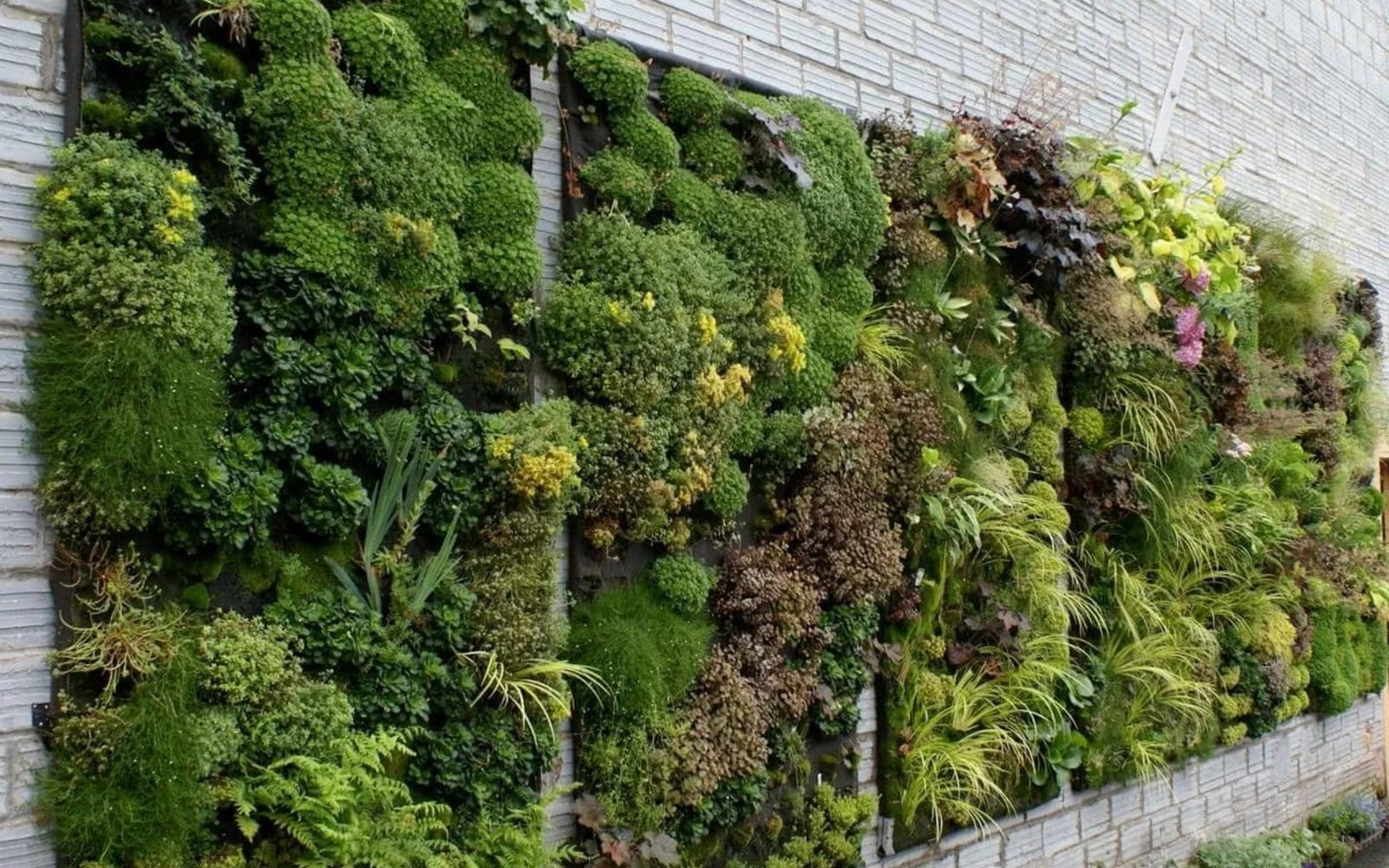 018f5b404d834e3bb5bd5108568de56f (1)