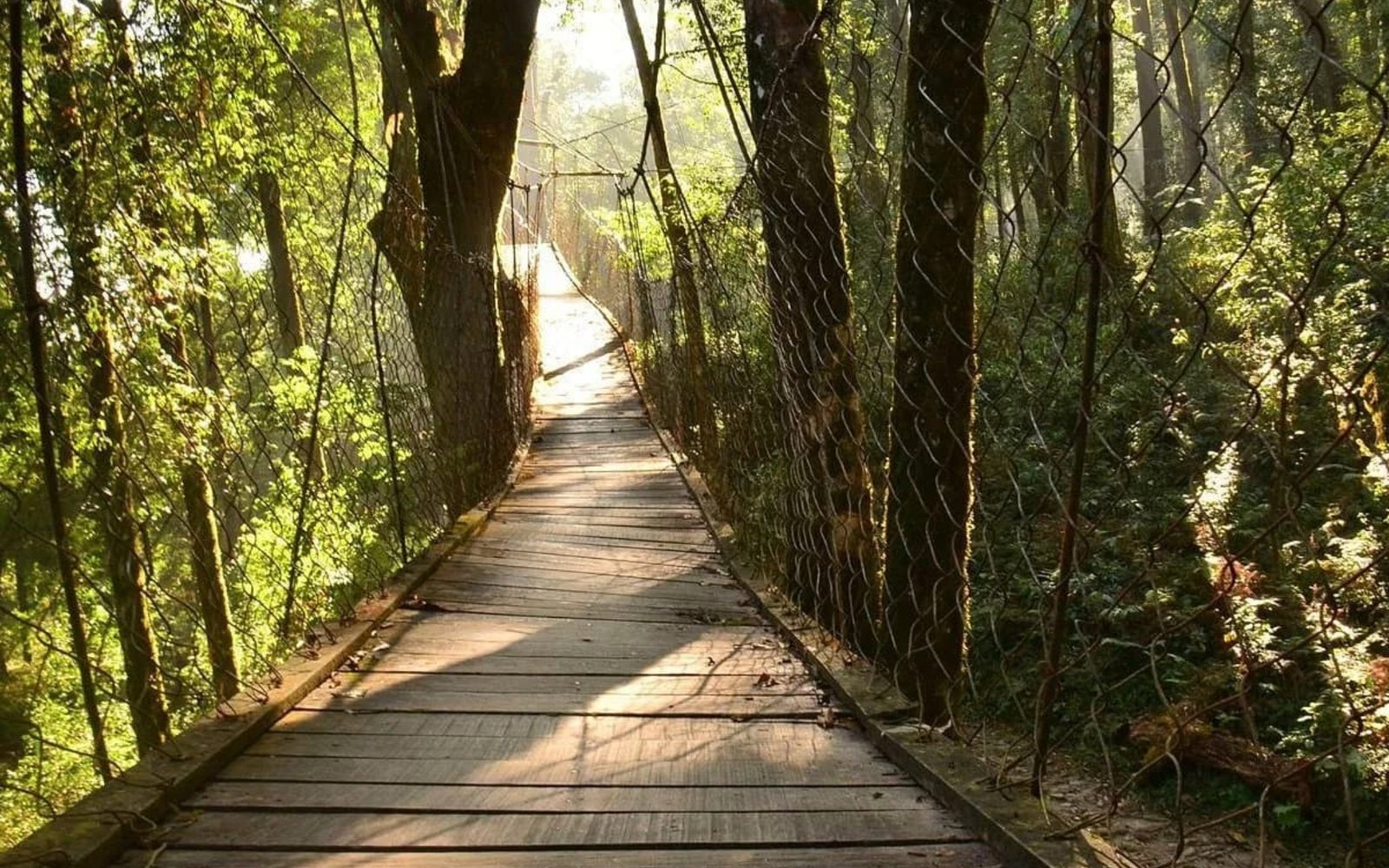 7c8cd352ca1c48318284adadfd627391 (1)