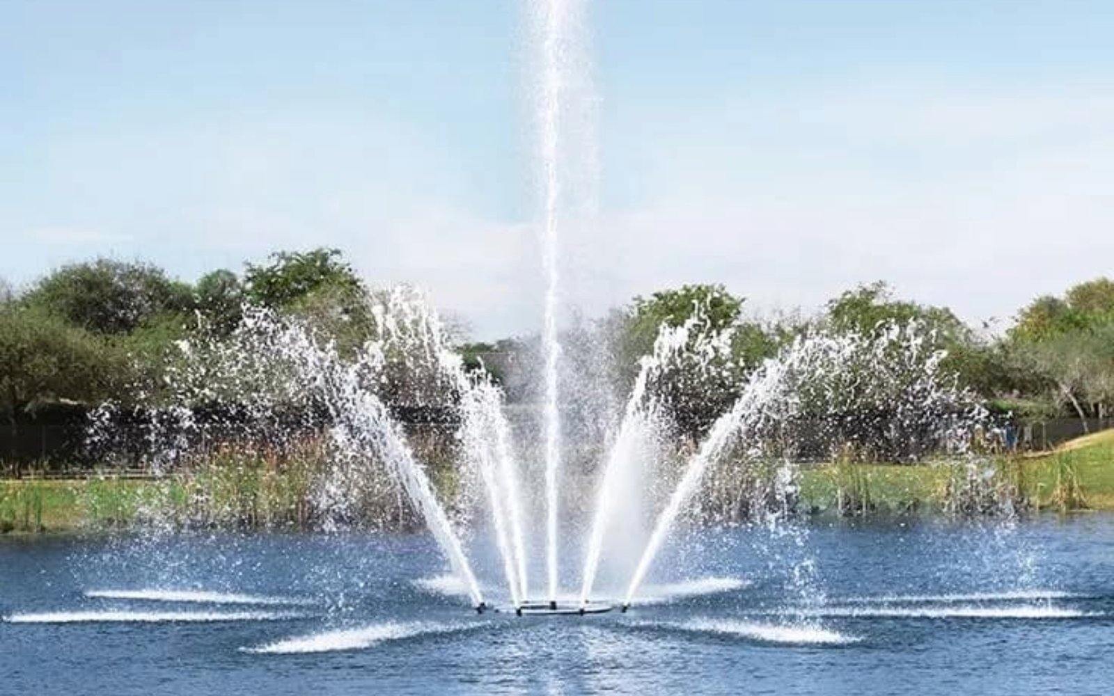 ef5c381102b048edae59cc50d422b84d (1)